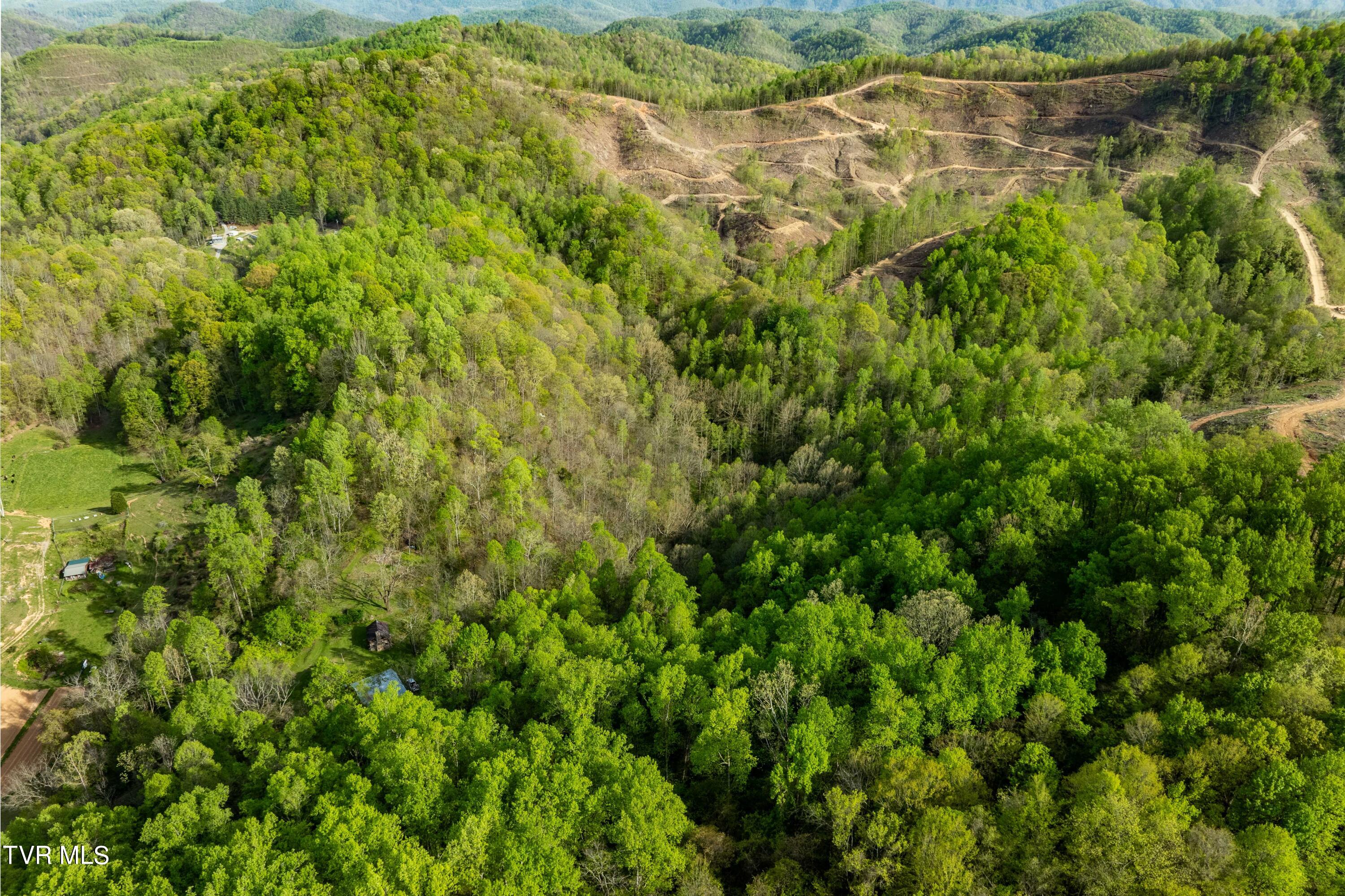 23 Highway 23 Duffield, VA 24244 - Photo 11 of 51 TBD Devils Racepath Duffield VA (9 of 53
