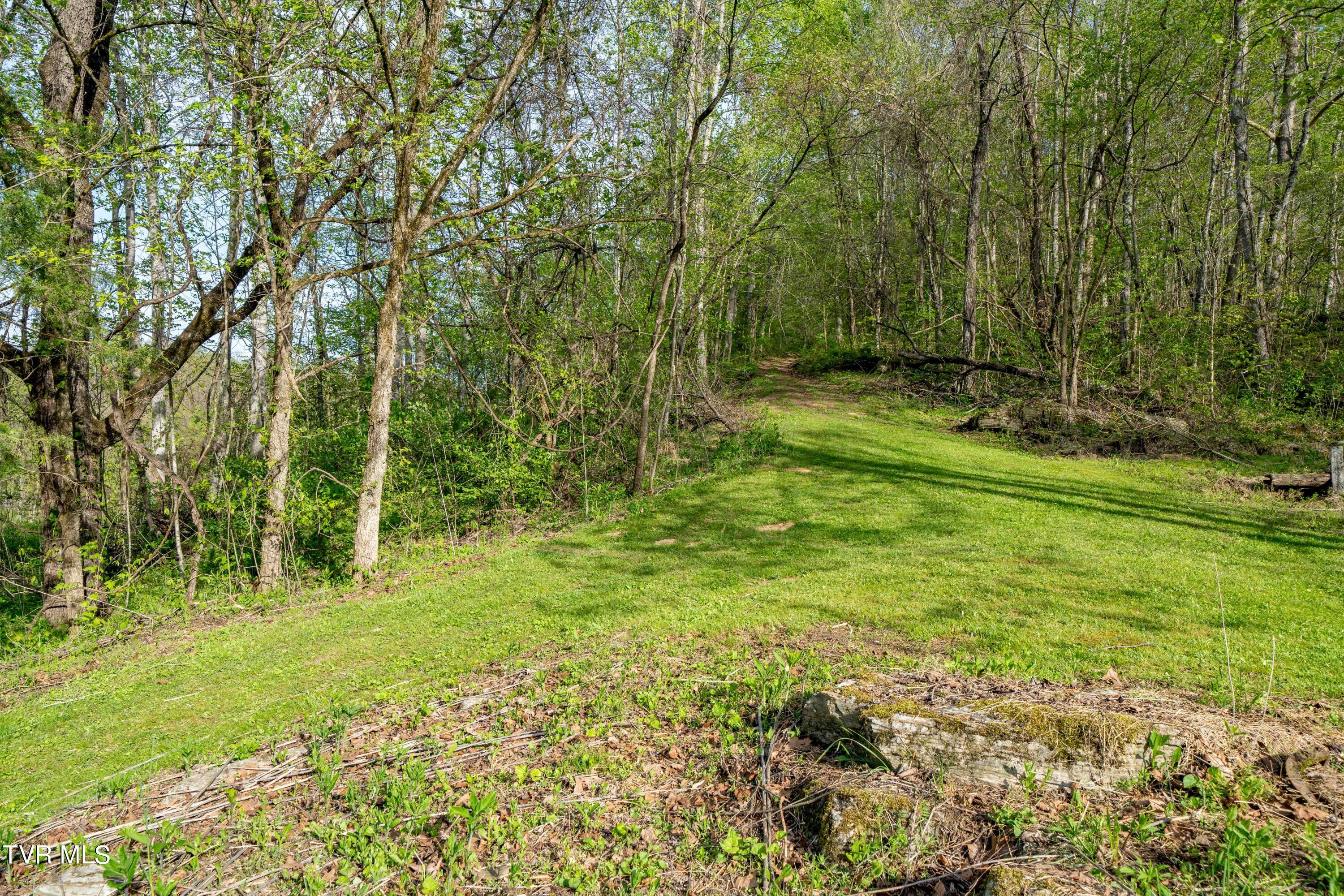 23 Highway 23 Duffield, VA 24244 - Photo 33 of 51 TBD Devils Racepath Duffield VA (33 of 5