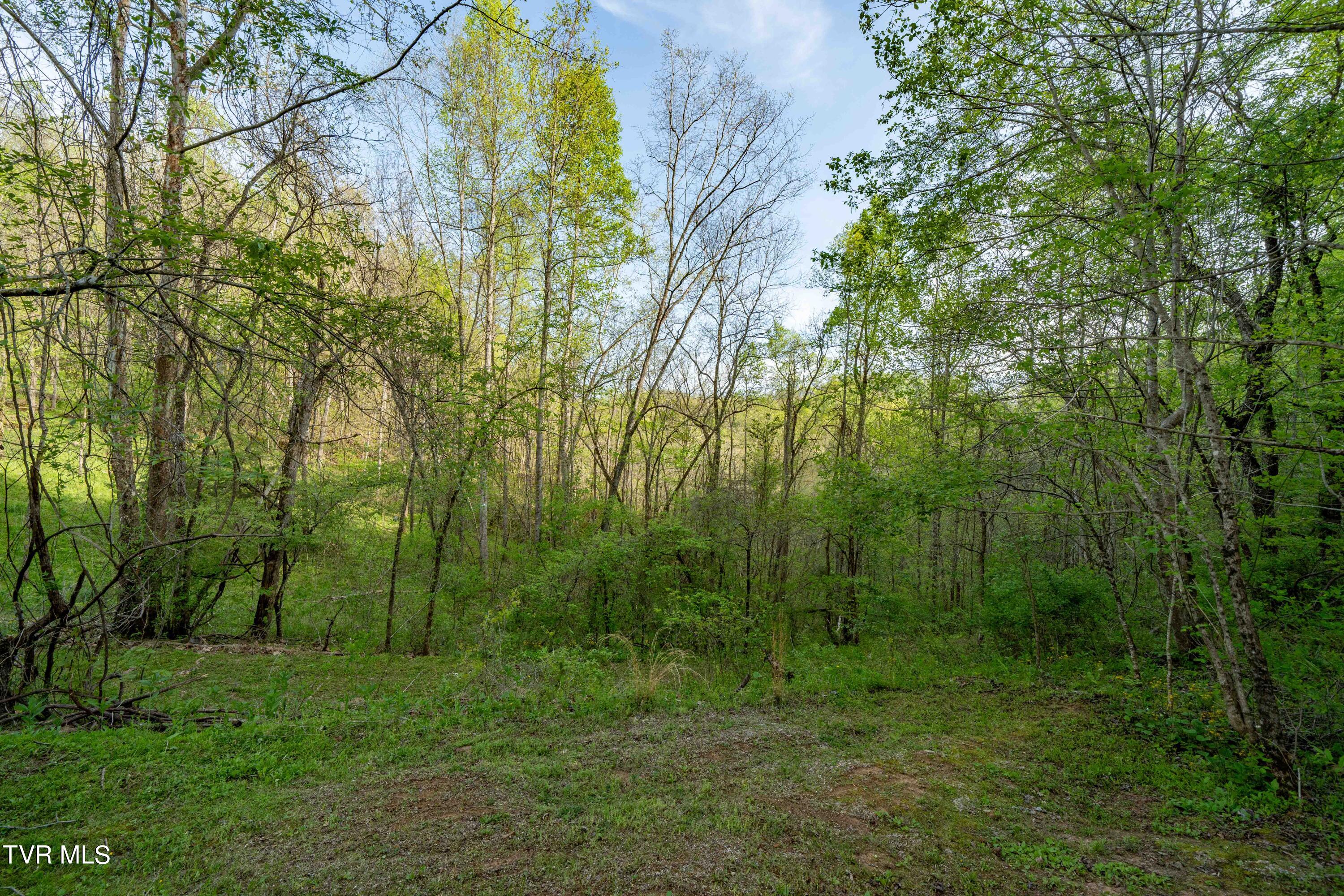 23 Highway 23 Duffield, VA 24244 - Photo 40 of 51 TBD Devils Racepath Duffield VA (40 of 5