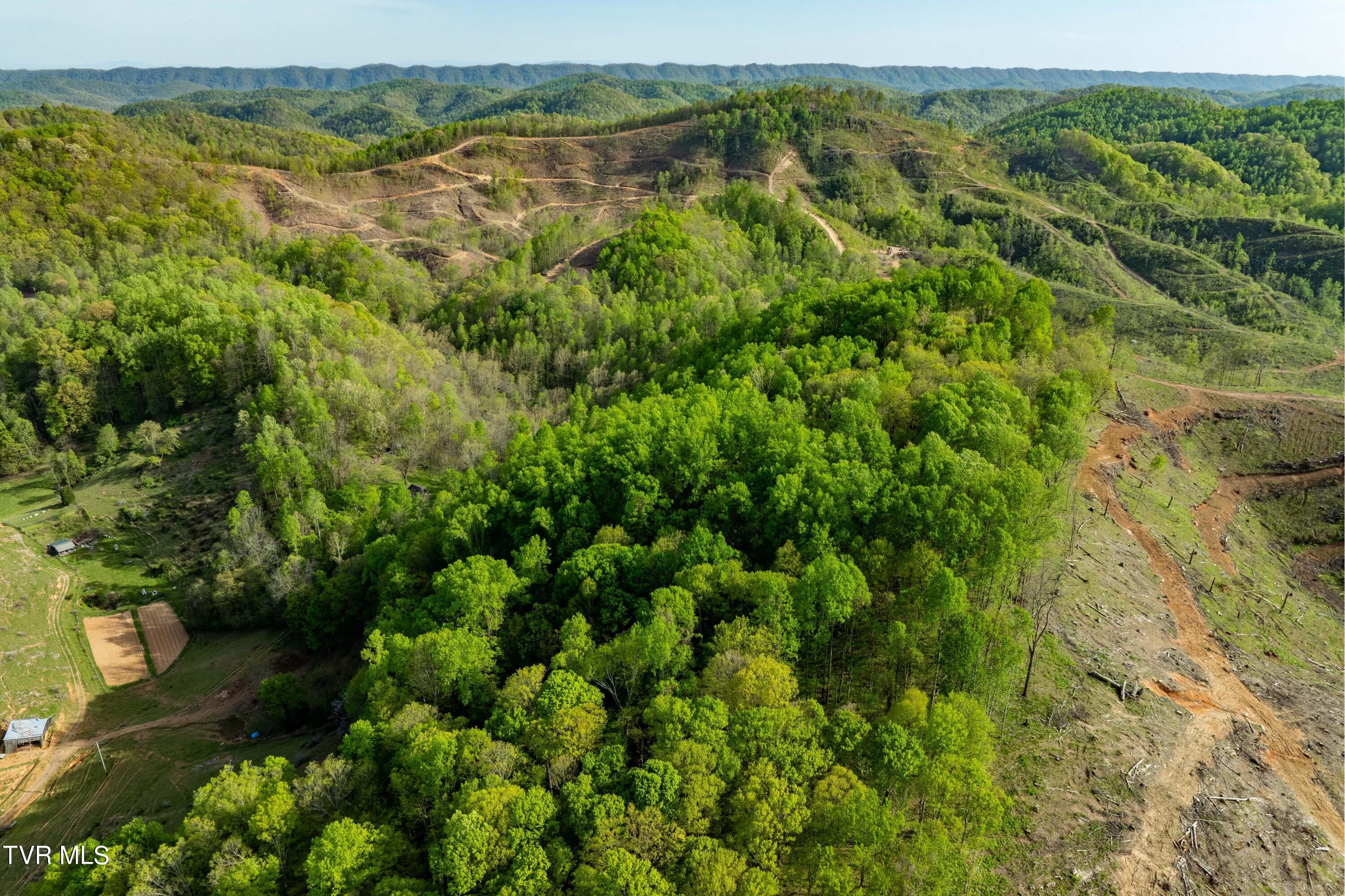 23 Highway 23 Duffield, VA 24244 - Photo 4 of 51 TBD Devils Racepath Duffield VA (2 of 53