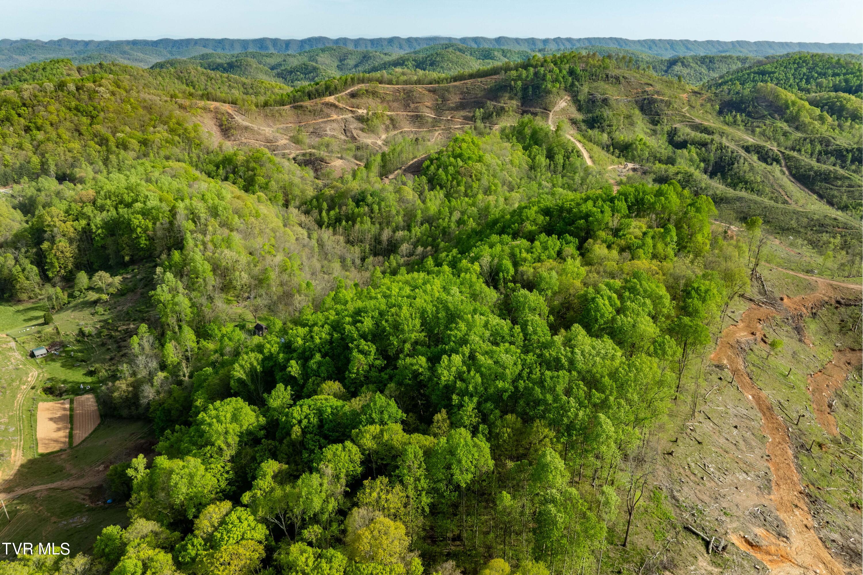 23 Highway 23 Duffield, VA 24244 - Photo 9 of 51 TBD Devils Racepath Duffield VA (7 of 53