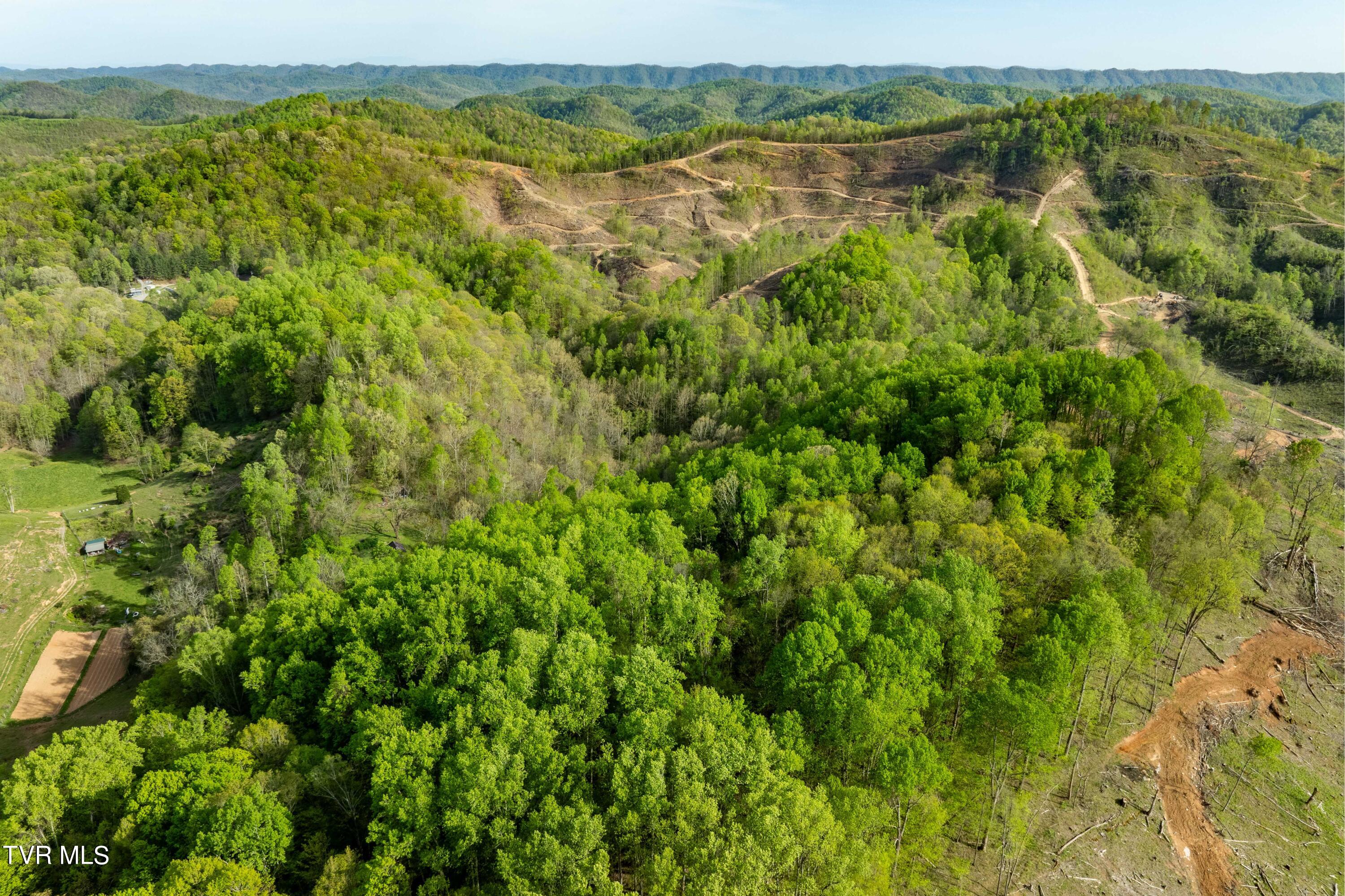 23 Highway 23 Duffield, VA 24244 - Photo 10 of 51 TBD Devils Racepath Duffield VA (8 of 53
