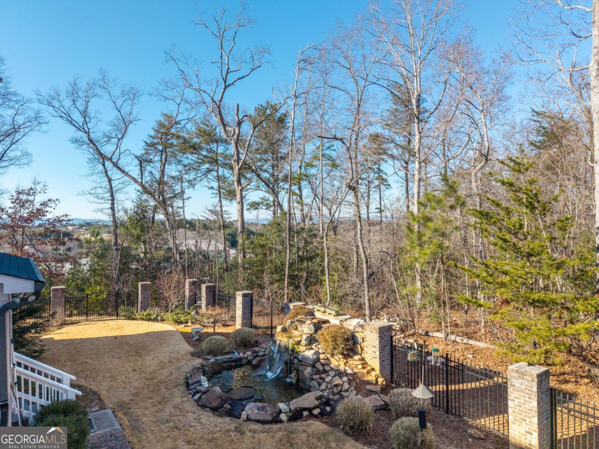 96 Morgan Trail, Unit 15R Ellijay, GA 30536 - Photo 10 of 42 a view of a backyard with plants and tree