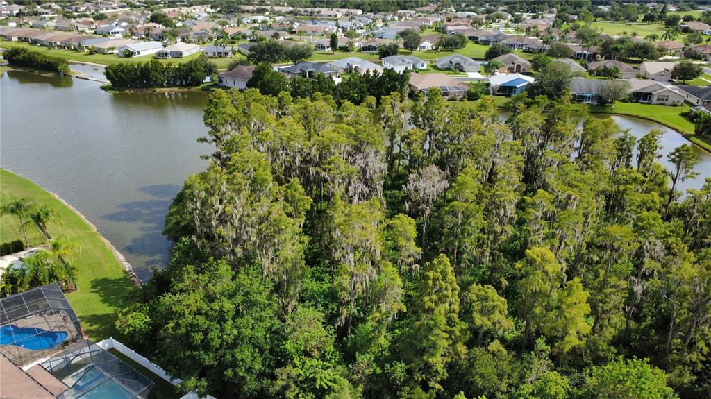 11832 Lake Boulevard New Port Richey, FL 34655 - Photo 55 of 58 an aerial view of residential houses with outdoor space and trees