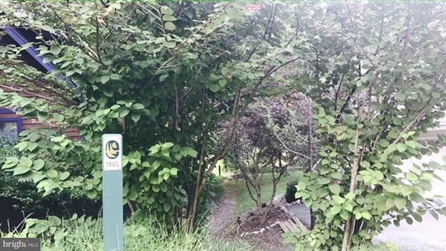 6719 West Lakeridge Road New Market, MD 21774 - Photo 38 of 49 a sign that is sitting in a tree