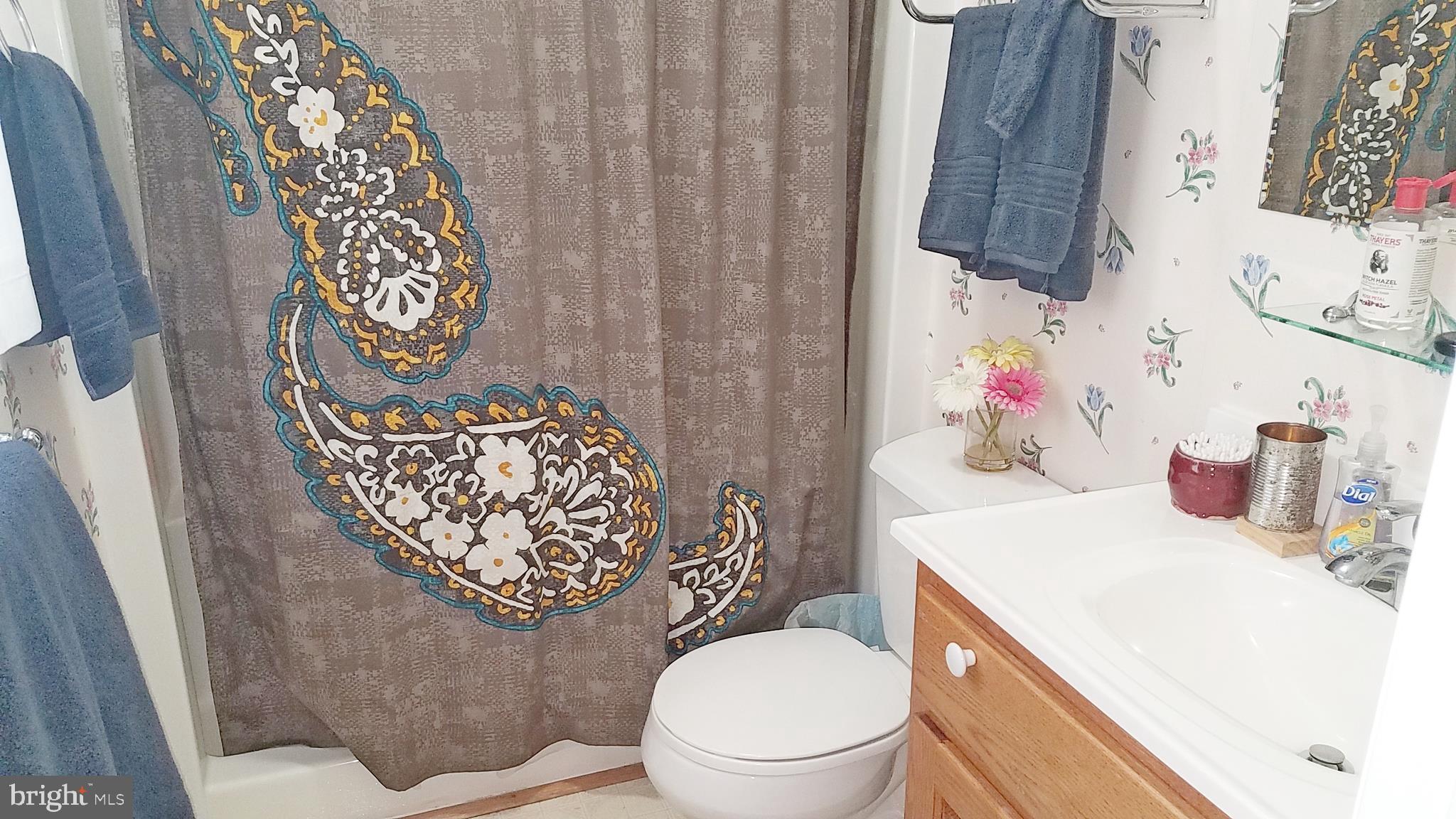 110 West Village Road Elkton, MD 21921 - Photo 20 of 23 Full Bath
