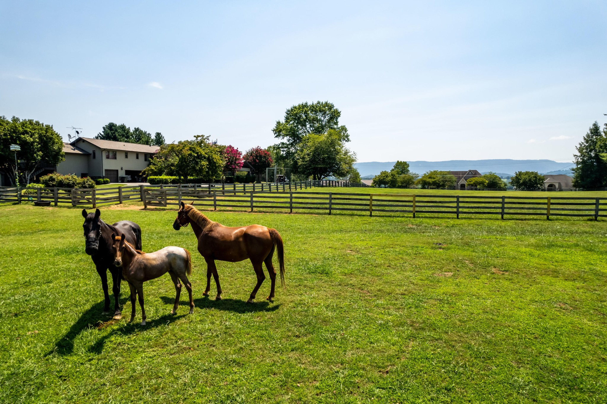 0 Cochran Road Maryville, TN 37803 - Photo 16 of 28 Gallery Image 16