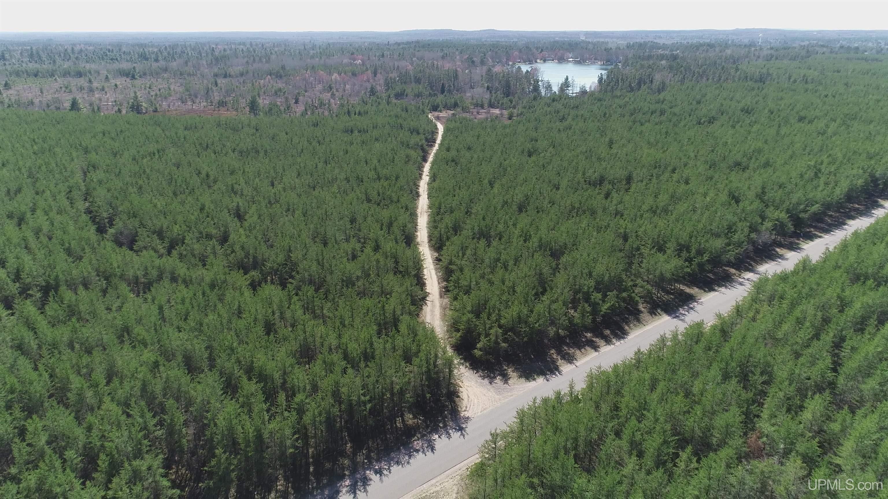 1 Rice Lake Road Gwinn, MI 49841 - Photo 1 of 25