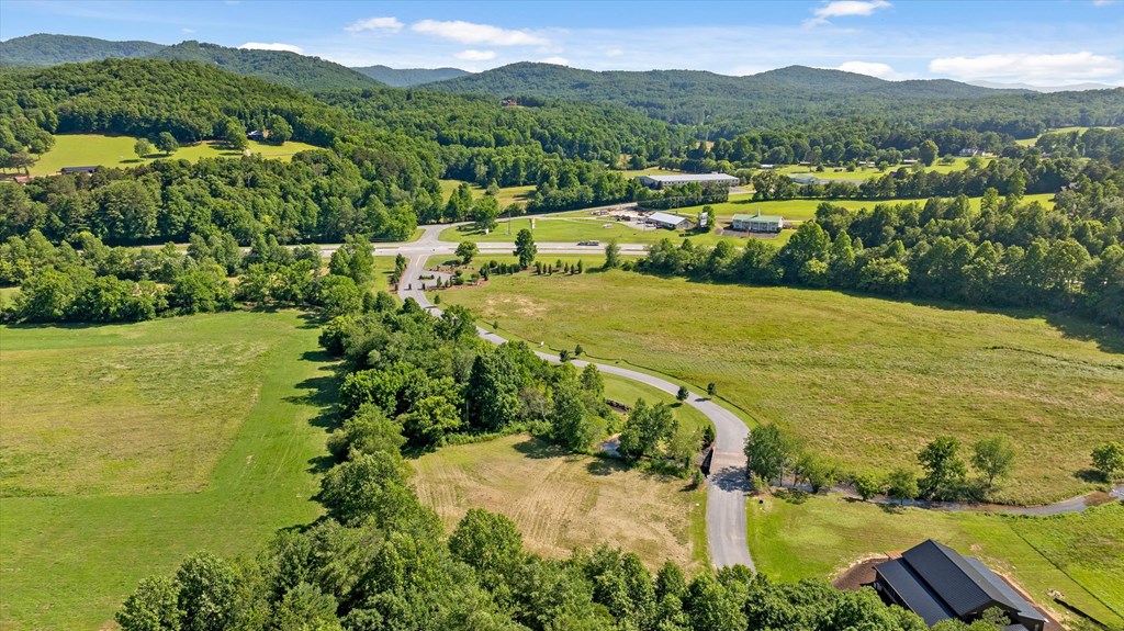 Lot 1 Ridge Drive Morganton, GA 30560 - Photo 12 of 21