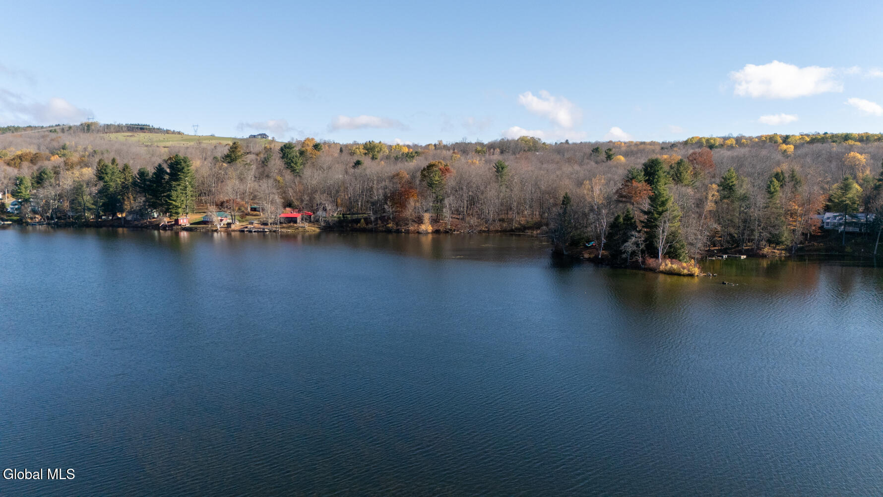 172 Lake Road Westerlo, NY 12023 - Photo 29 of 30 DJI_20251028102656_0071_D_DJI