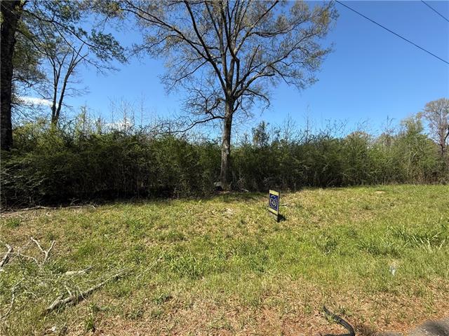 1175 Mt Zion Road Osyka, MS 39657 - Photo 1 of 3
