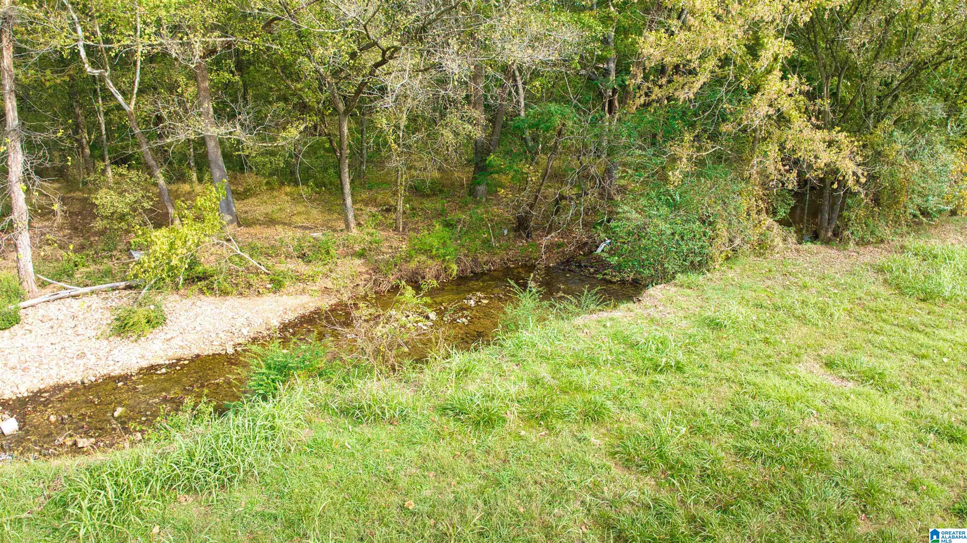 0 South Love Branch Road Toney, AL 35773 - Photo 11 of 26