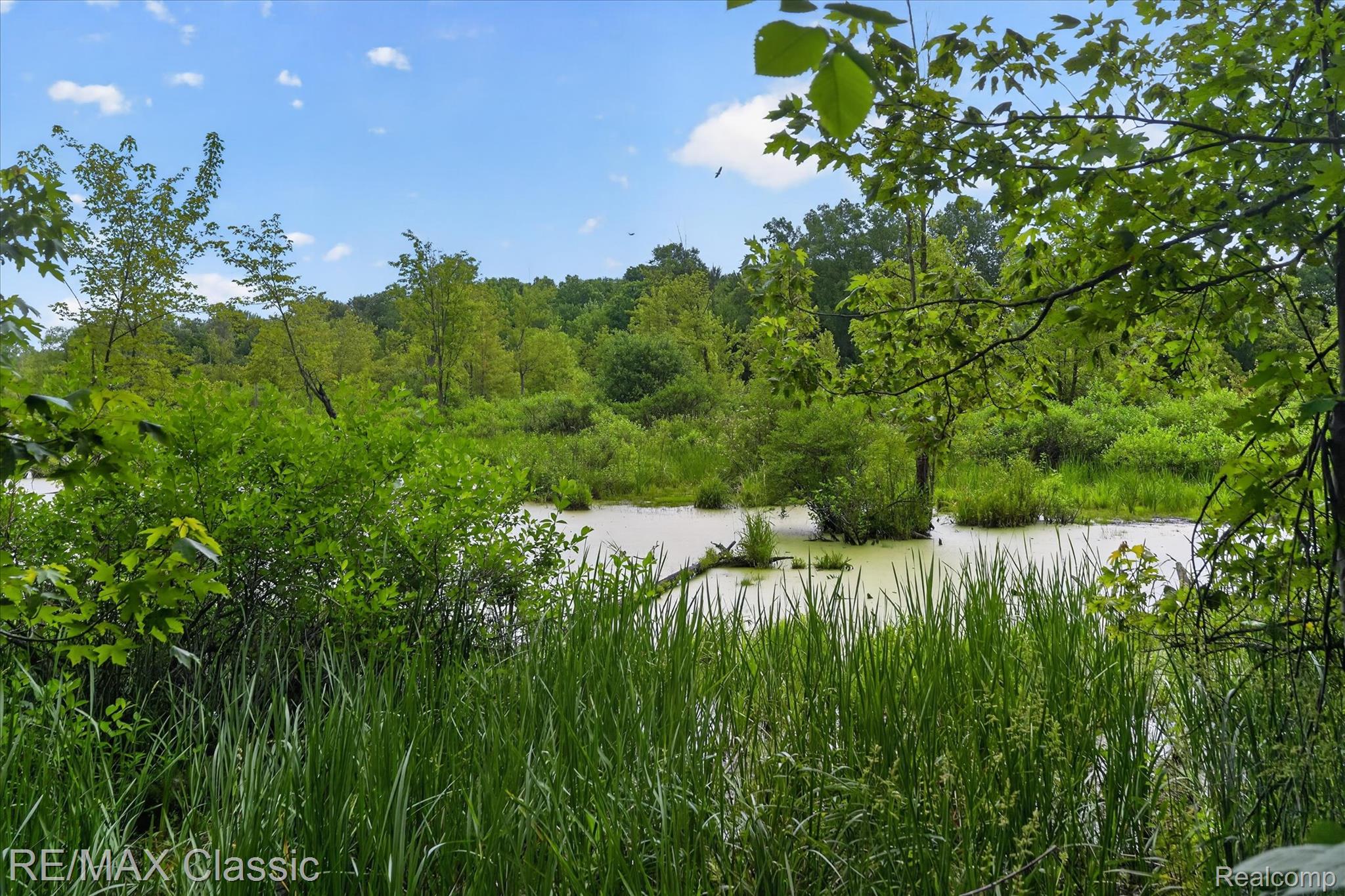 12189 Gage Road Holly, MI 48442 - Photo 58 of 69 Natural wetland habitat featuring diverse green foliage and a clear sky