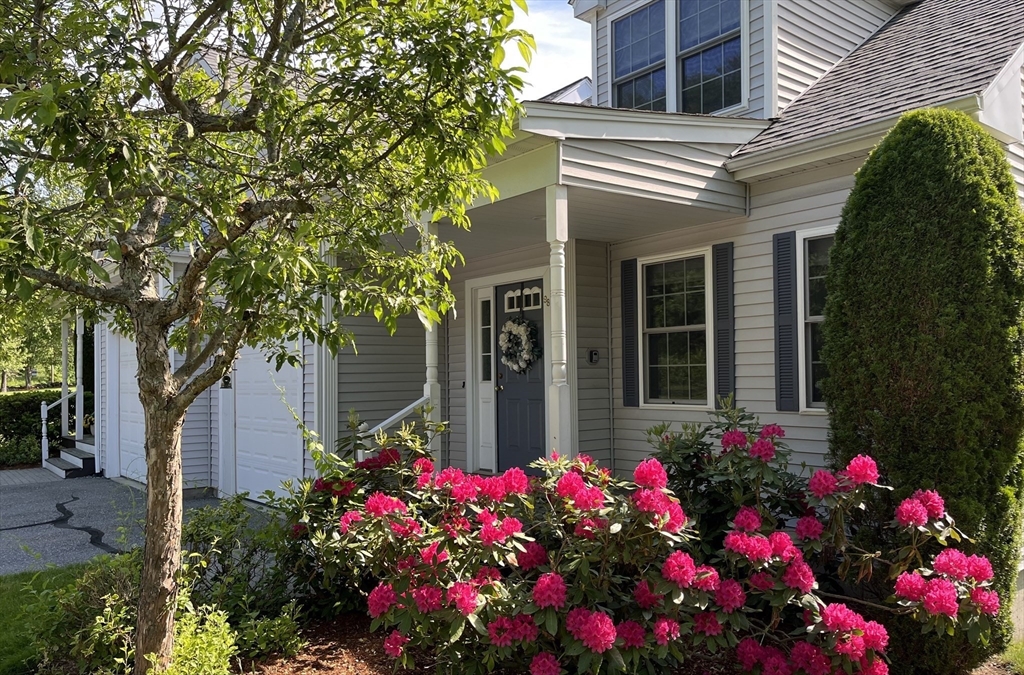 a house view with a lot of flower plants