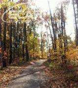 4909 Davison Road Lapeer, MI 48446 - Photo 6 of 16 20431612-5.JPG