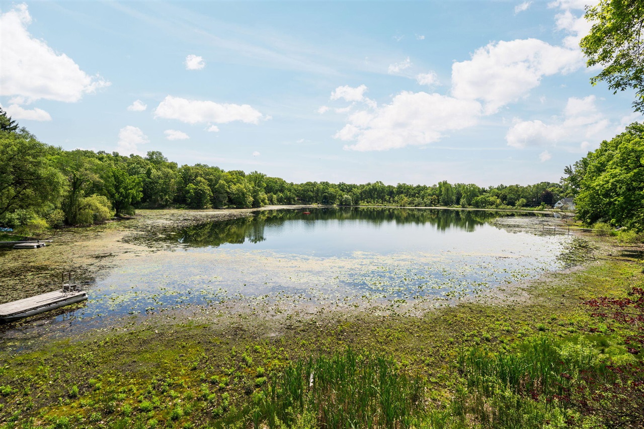 210 Spring Lake Drive Chelsea, MI 48118 - Photo 46 of 70