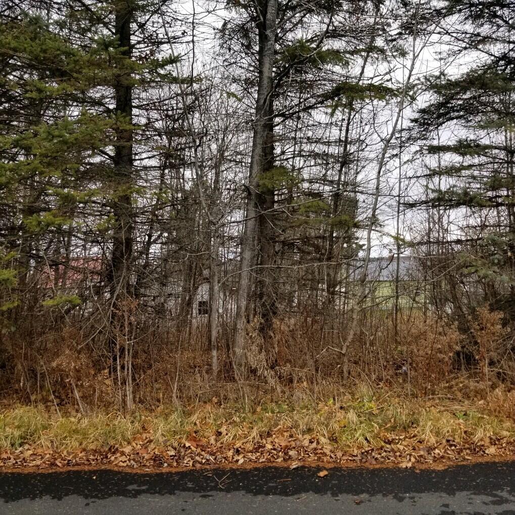 10 Webster Avenue Limestone, ME 04750 - Photo 2 of 4