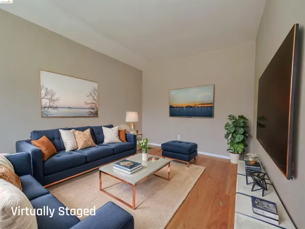 a living room with furniture flat screen tv and a potted plant