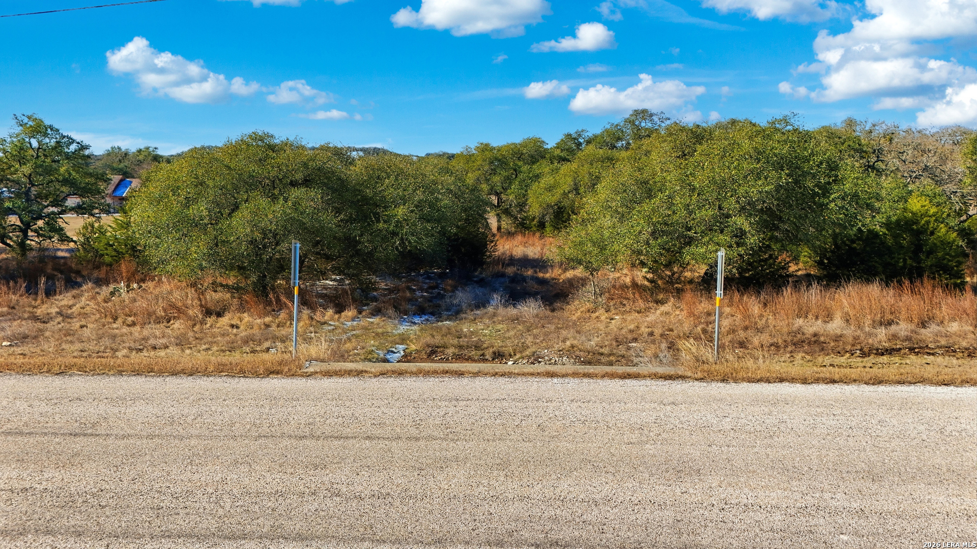 a view of a yard with large tree