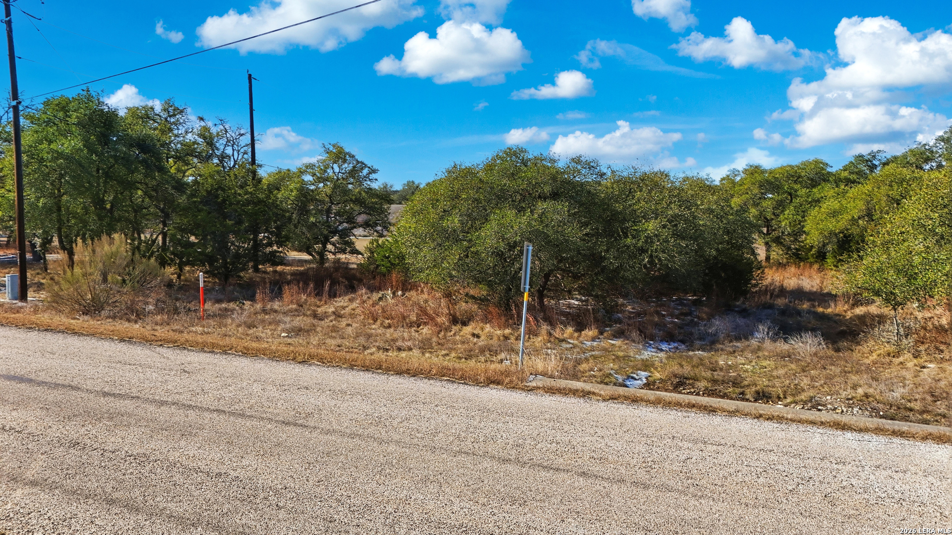 246 Dodder Lane Spring Branch, TX 78070 - Photo 2 of 22 a view of a yard with a tree