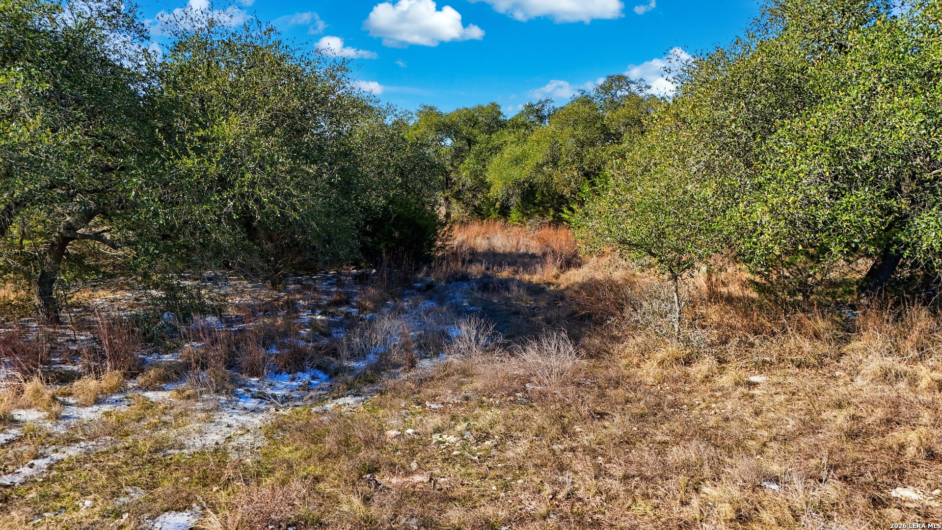 246 Dodder Lane Spring Branch, TX 78070 - Photo 4 of 22 a view of outdoor space and trees all around