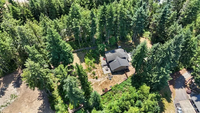 a view of a city with lush green forest