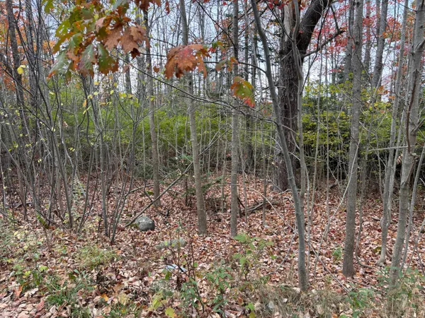 $169,000 | 0 Beechland Road, Ellsworth, ME 04605