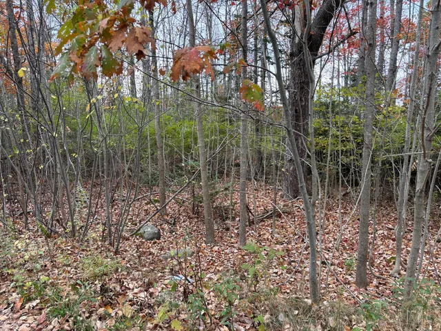 $169,000 | 0 Beechland Road, Ellsworth, ME 04605