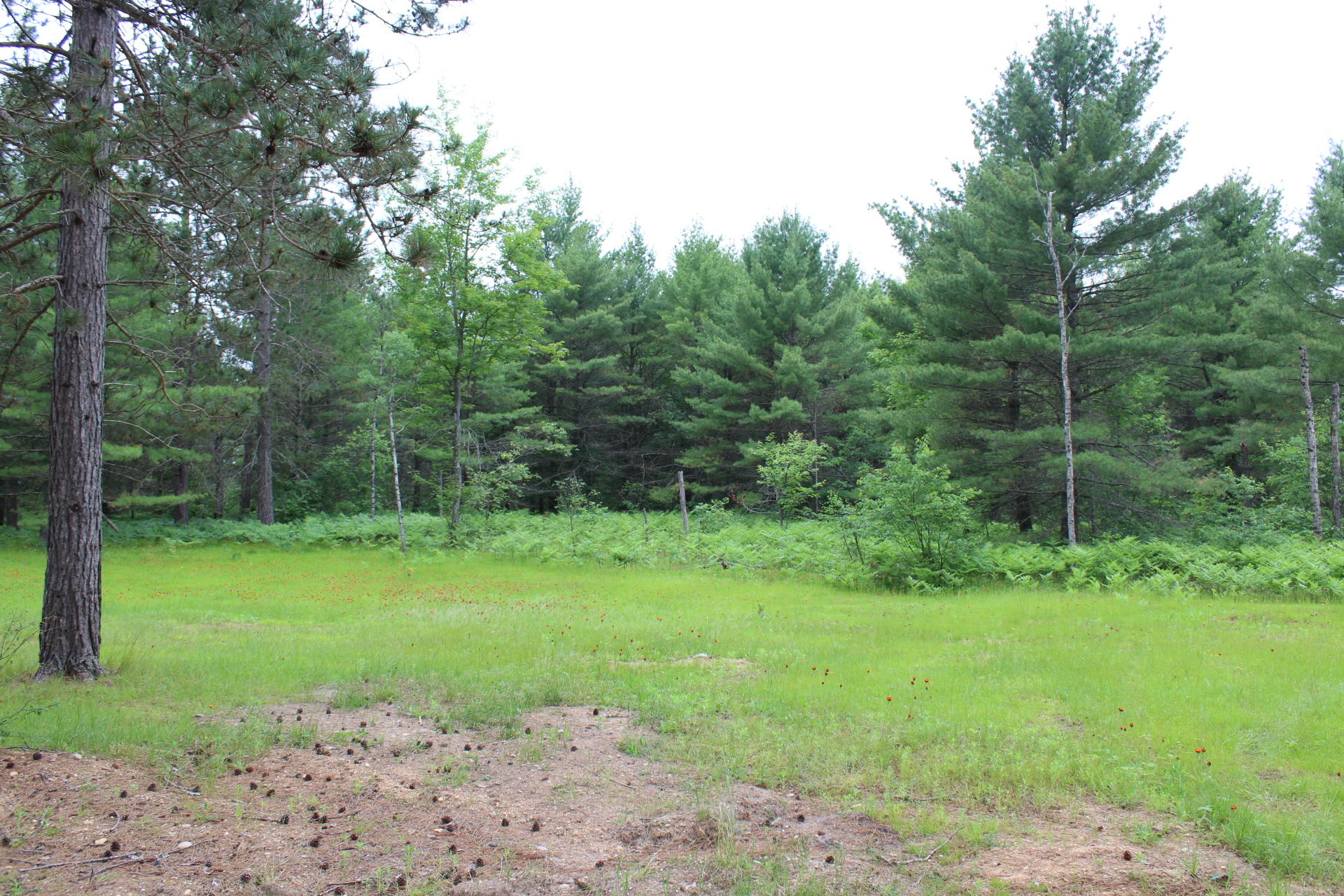 4300 Ranger Lake Road Gaylord, MI 49735 - Photo 12 of 17 Gallery Image 12