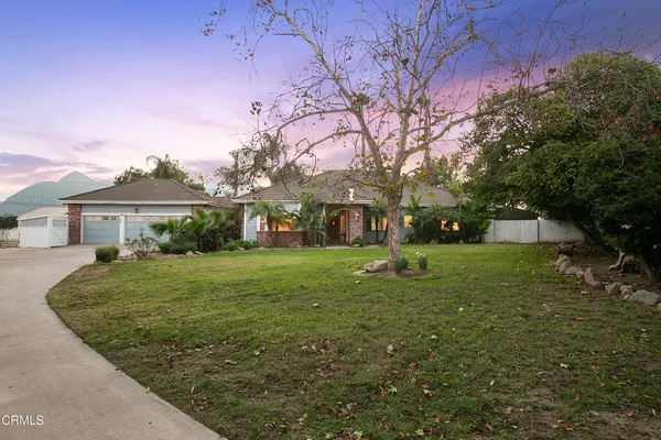 a view of a big yard in front of a house with a large tree