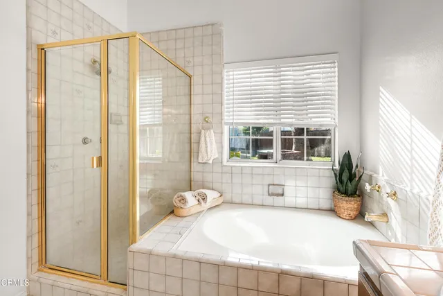 a view of a park with large trees