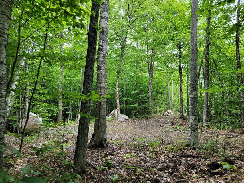1 Railroad Bed Rd Lake View Milo, ME 04463 - Photo 9 of 27 driveway 3