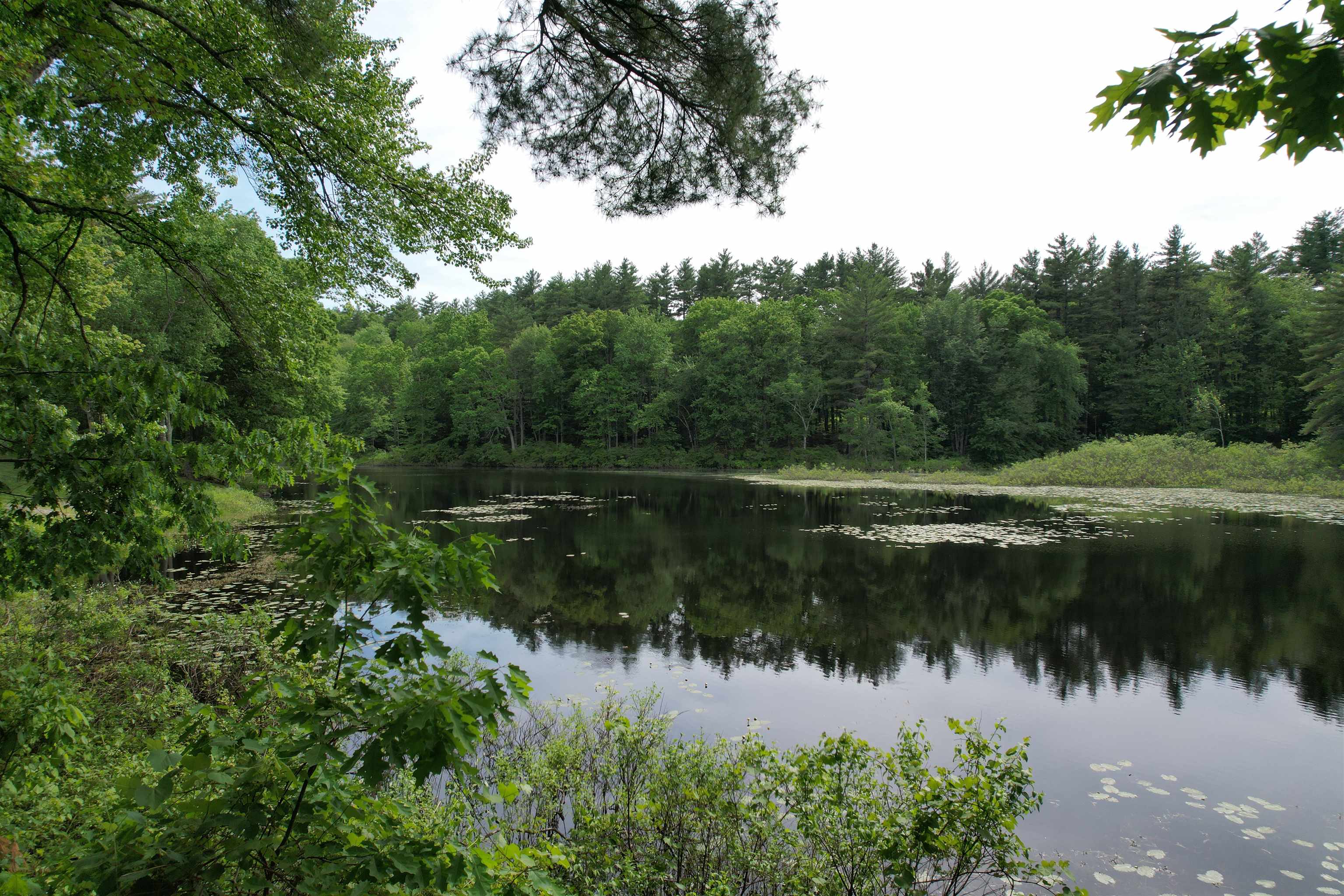 85 Stowell Road Bedford, NH 03110 - Photo 53 of 53