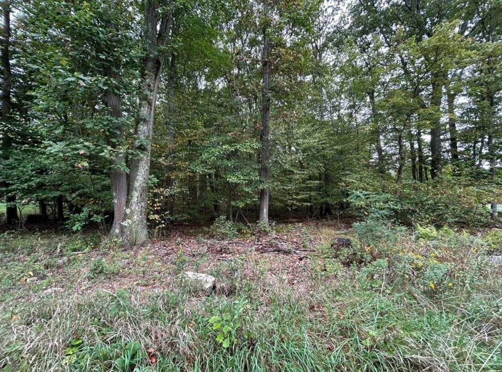 560 Ridge Road Homer City, PA 15748 - Photo 10 of 10