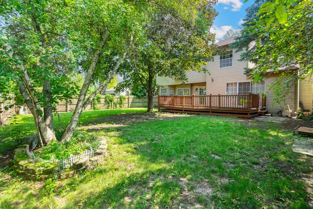 a view of a backyard with a large tree
