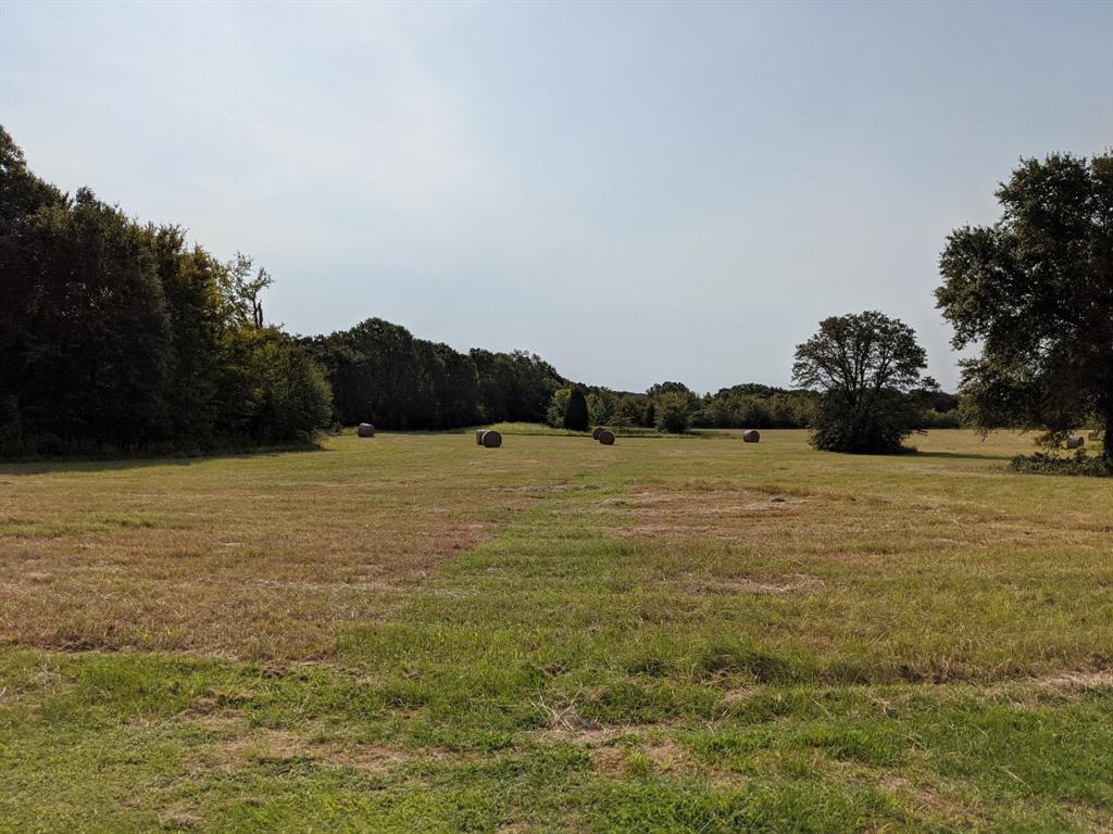 8698 Richardson Road Athens, TX 75752 - Photo 1 of 1 View of nature with a rural view