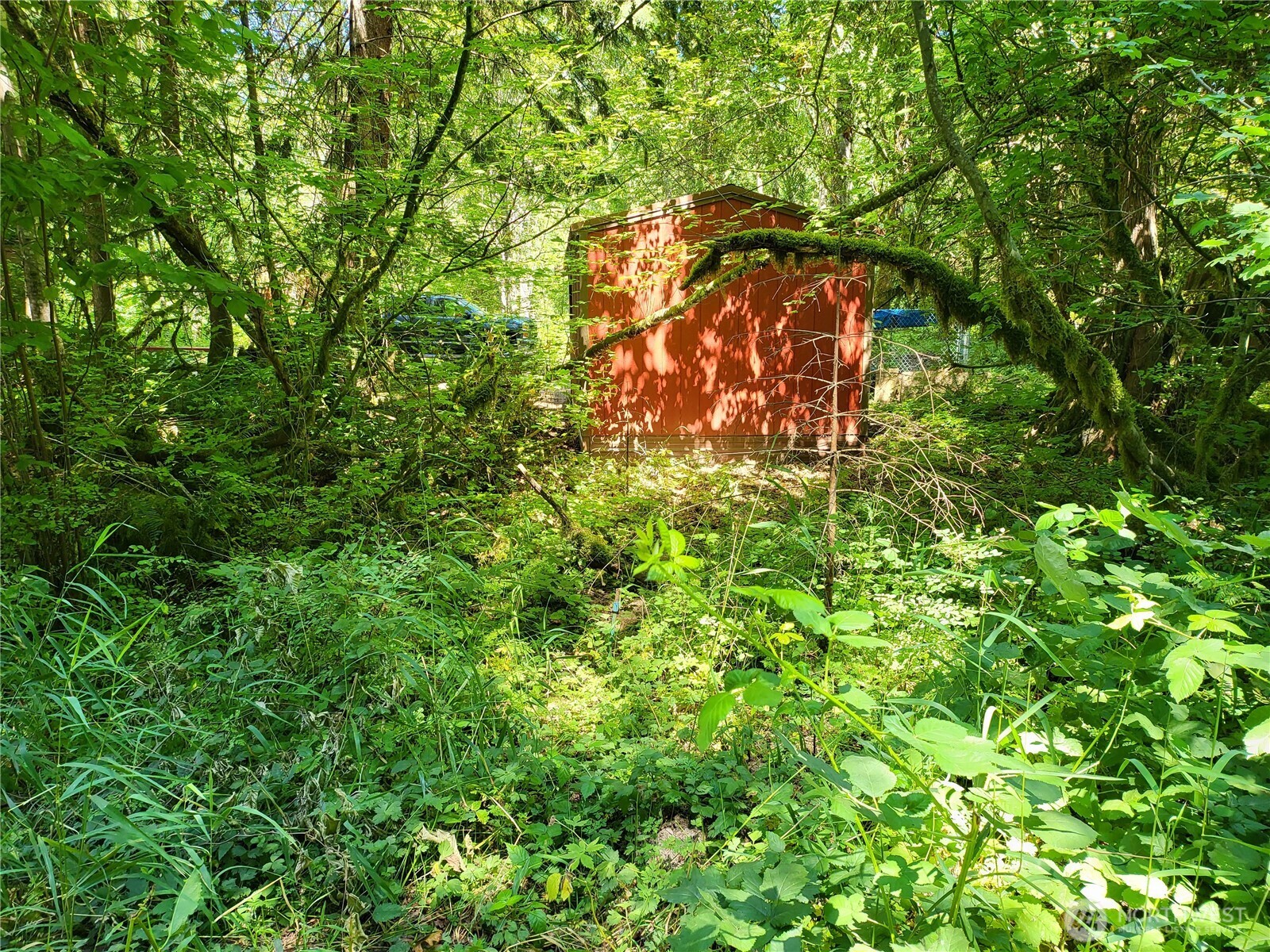 110 Cedar Grove Road Randle, WA 98377 - Photo 16 of 40 Gallery Image 16