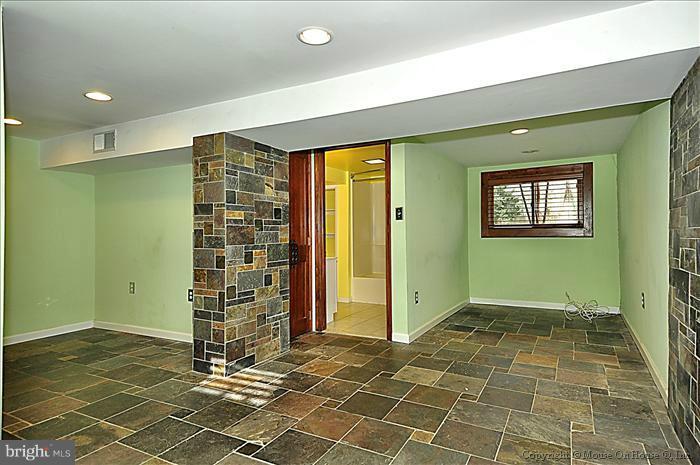 403 Franklin Avenue Silver Spring, MD 20901 - Photo 8 of 27 Basement