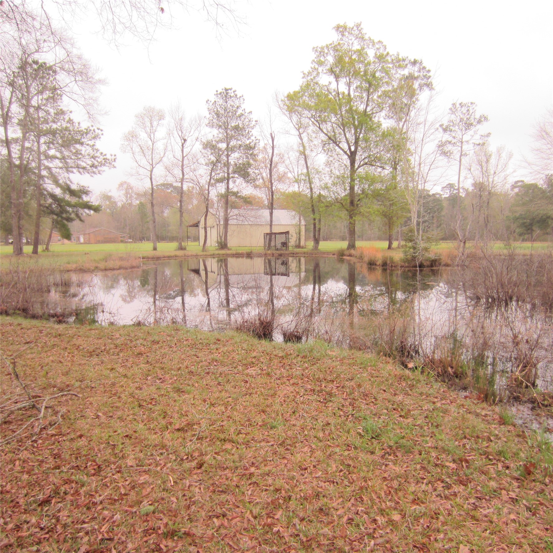 512 County Road 2222 Cleveland, TX 77327 - Photo 13 of 41 Pond is stocked with catfish. Many have been caught from the spot!