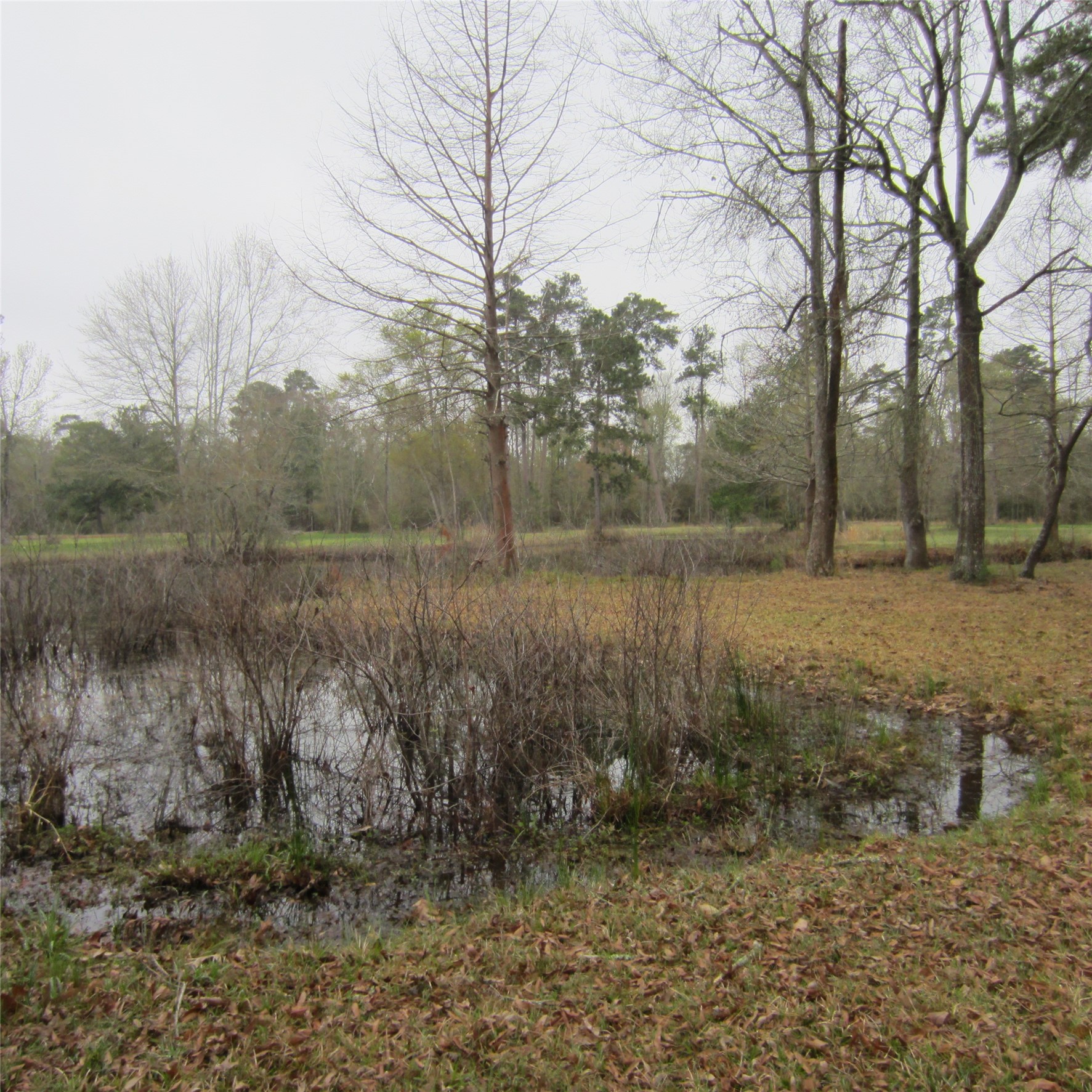 512 County Road 2222 Cleveland, TX 77327 - Photo 14 of 41