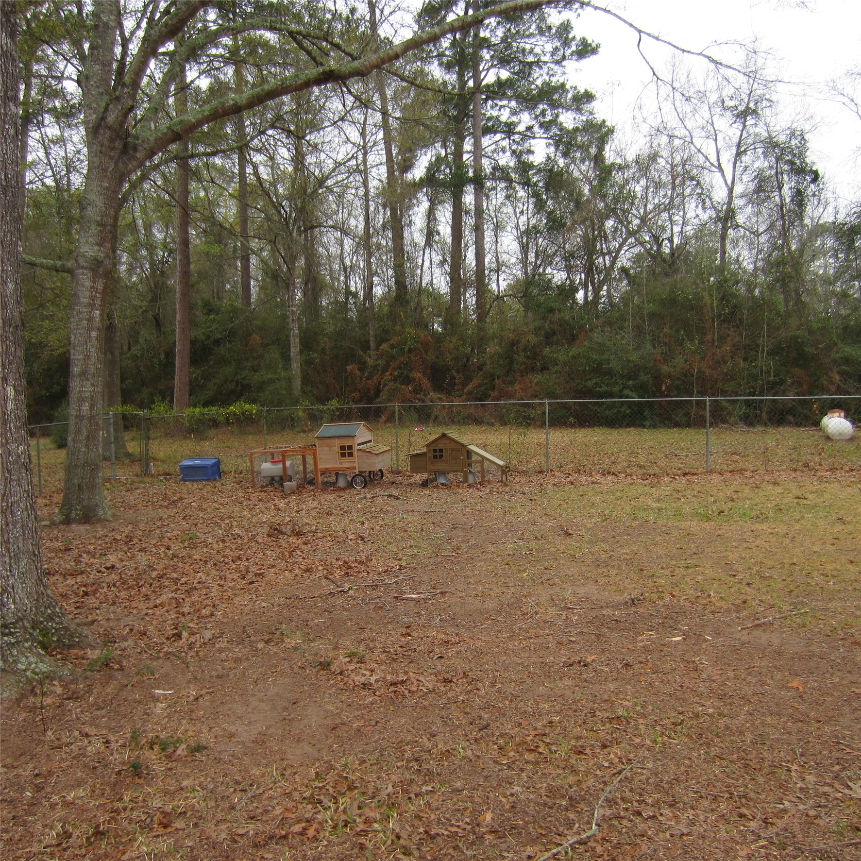 512 County Road 2222 Cleveland, TX 77327 - Photo 37 of 41 Previous occupant had chickens in this sectioned off fence.