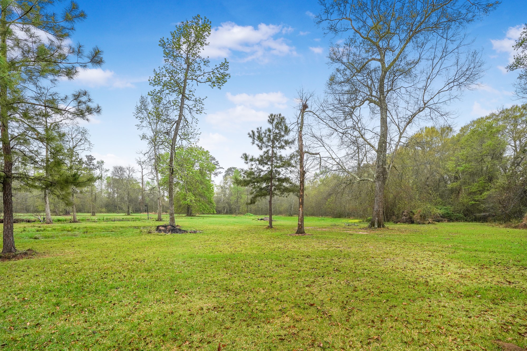 512 County Road 2222 Cleveland, TX 77327 - Photo 48 of 50