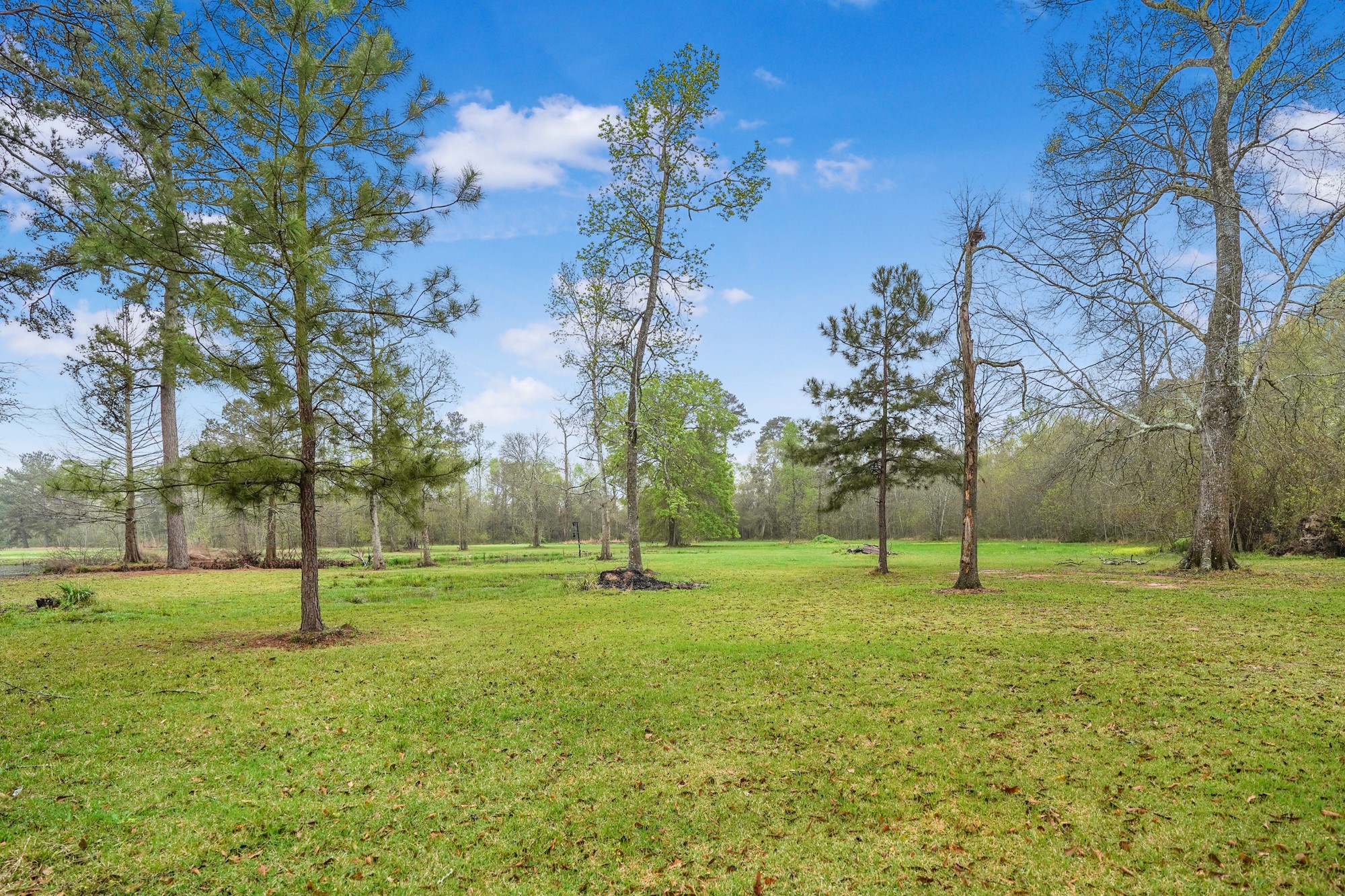 512 County Road 2222 Cleveland, TX 77327 - Photo 49 of 50