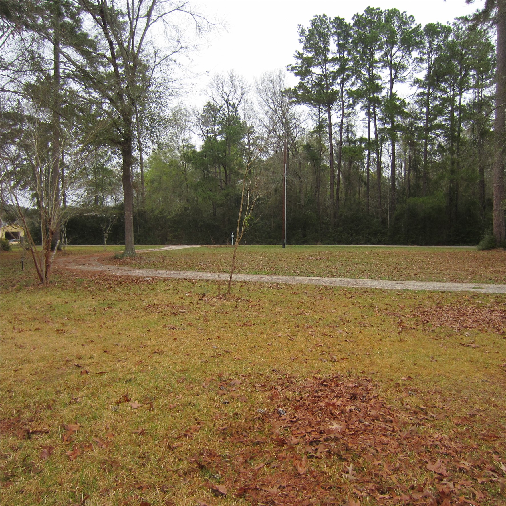 512 County Road 2222 Cleveland, TX 77327 - Photo 5 of 41 Huge circle drive