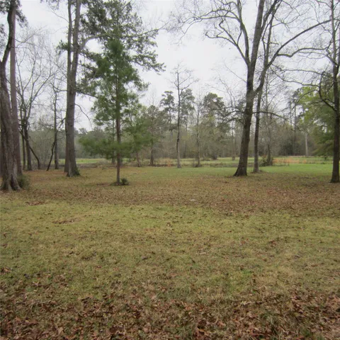 $2,600 | 512 County Road 2222, Cleveland, TX 77327