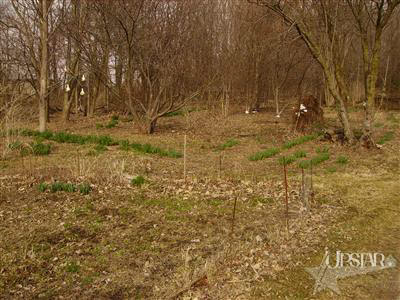 8211 Adams Center Road Fort Wayne, IN 46816 - Photo 12 of 13 Gallery Image 12