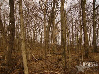 8211 Adams Center Road Fort Wayne, IN 46816 - Photo 3 of 13 Gallery Image 3