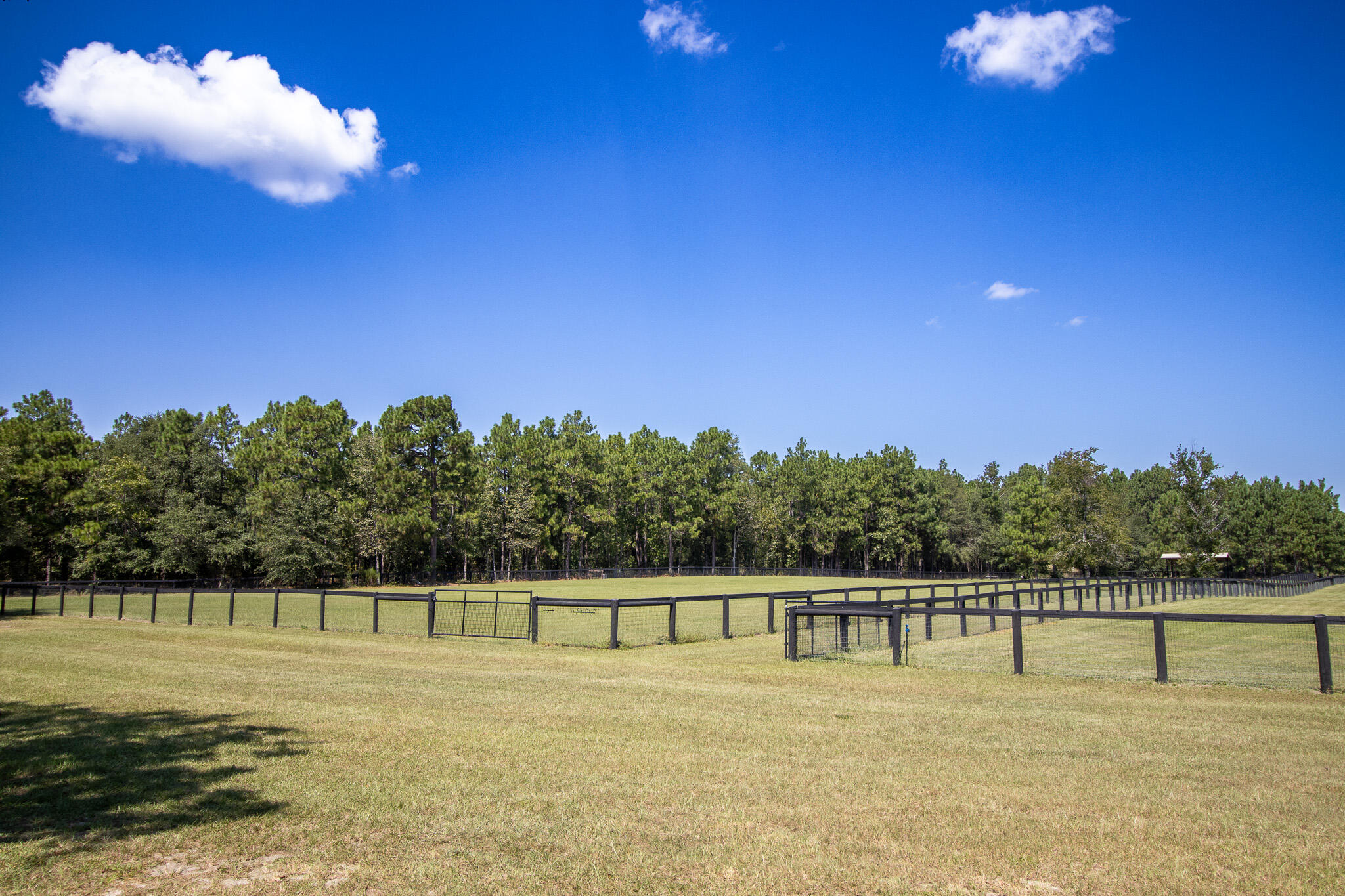 571 Oak Ridge Club Road Windsor, SC 29856 - Photo 78 of 107
