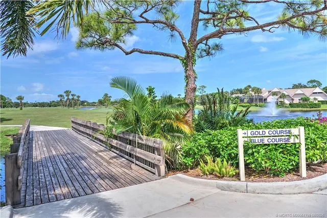 a view of a backyard with plants and a yard