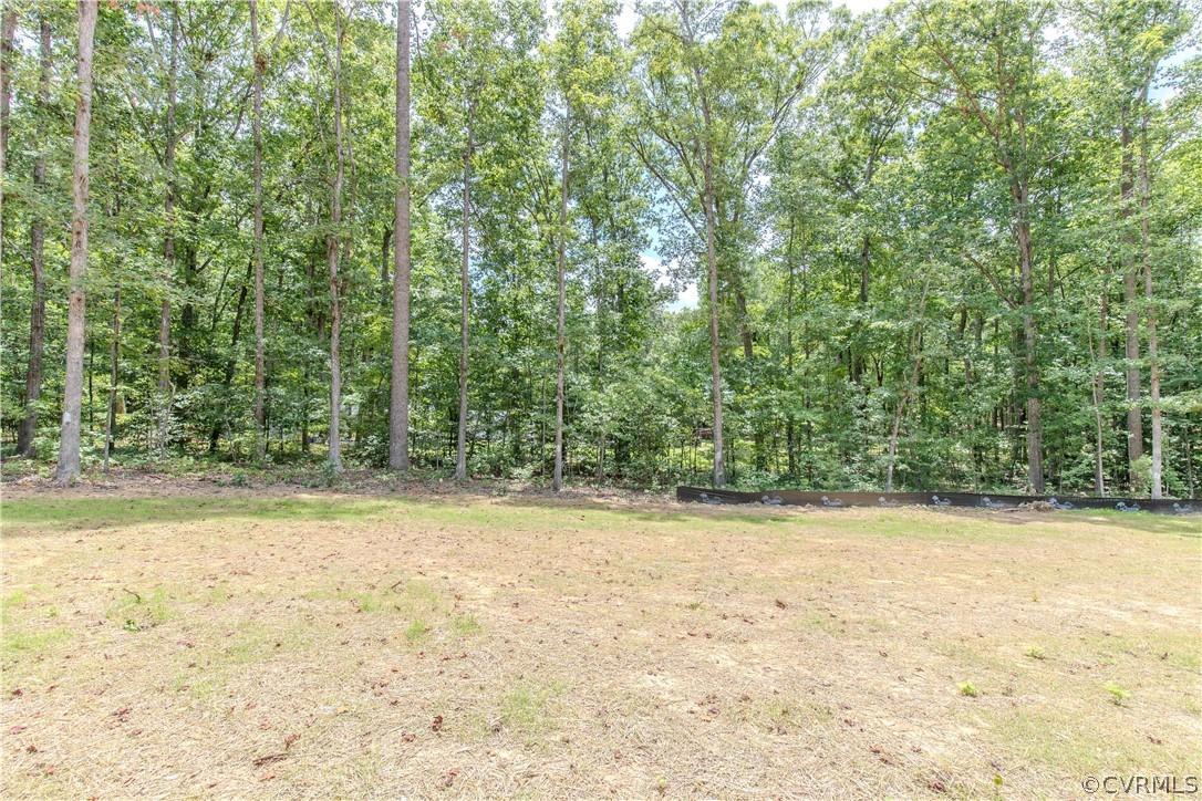 4243 Three Bridge Road Powhatan, VA 23139 - Photo 28 of 32 a view of a yard with a trees